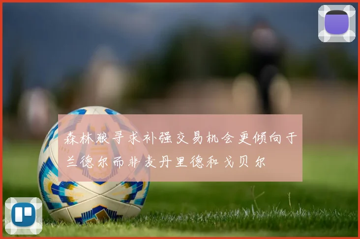 森林狼寻求补强交易机会更倾向于兰德尔而非麦丹里德和戈贝尔